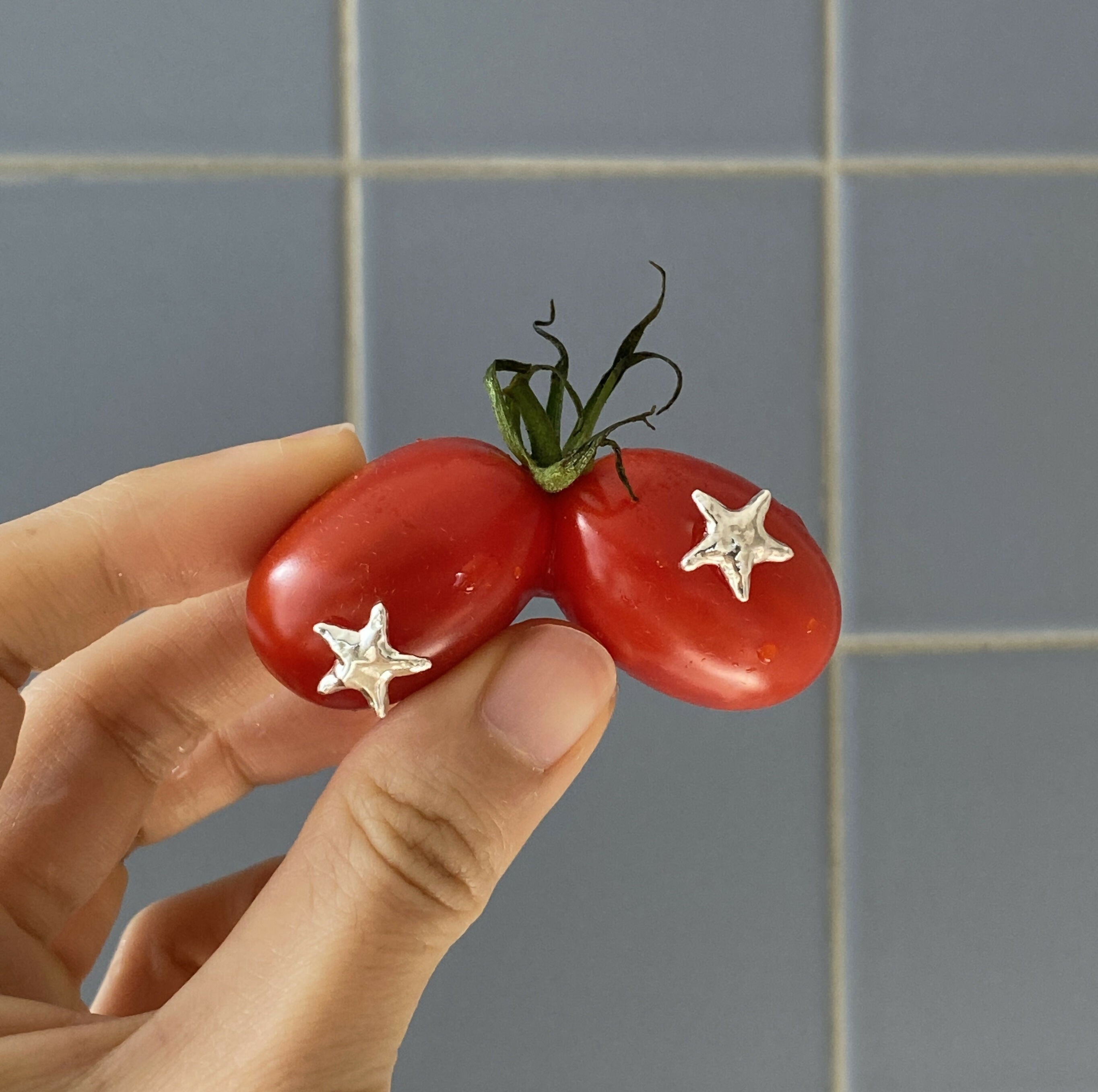 Star Stud Studio Stars