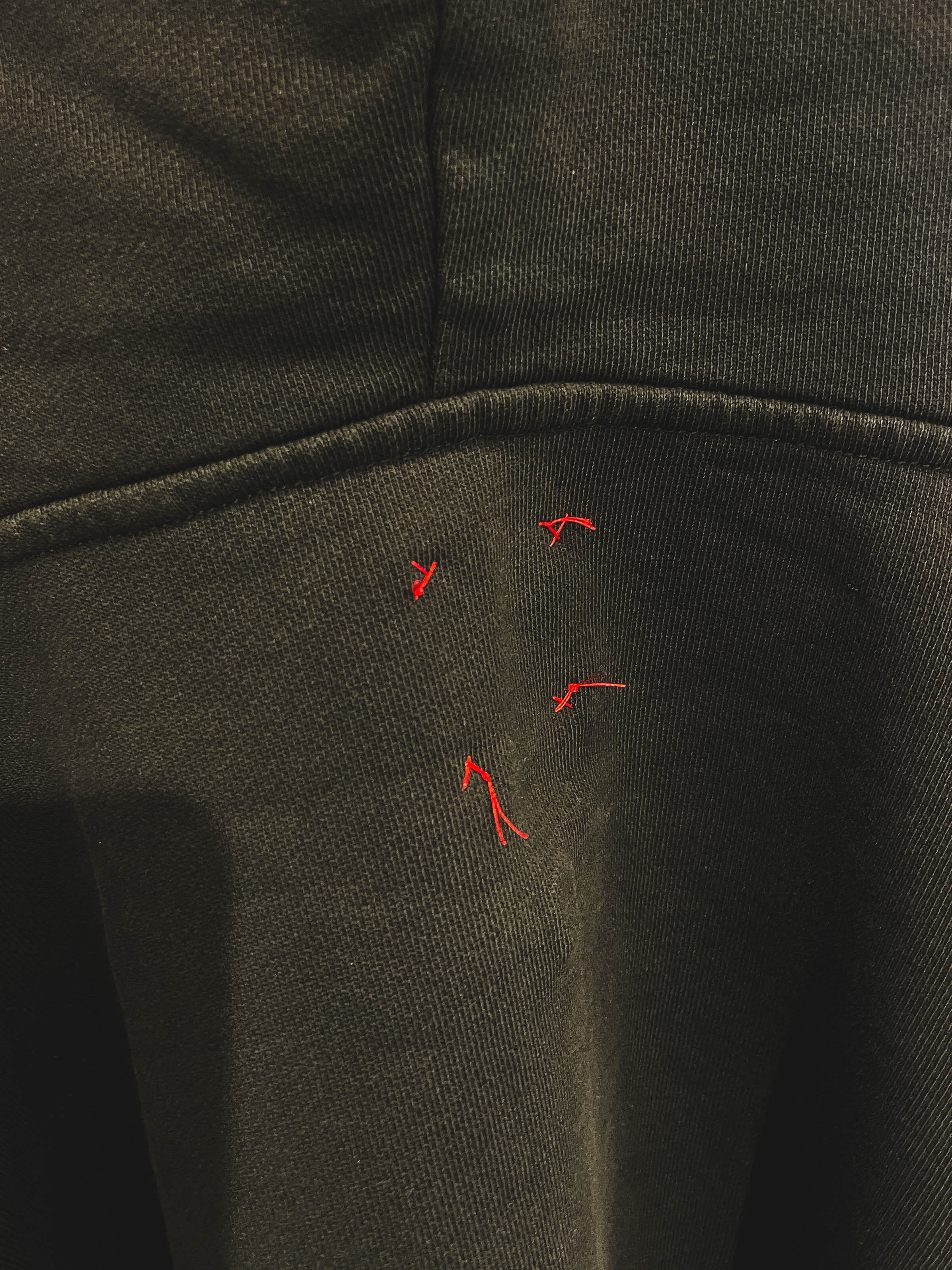 AIRBRUSH HOODIE APPLES 00ctmn